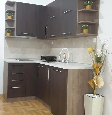 Apartment Milojevic Vrnjacka Banja